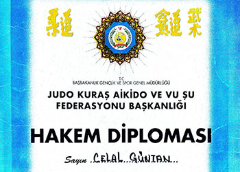 Aikido Hakem